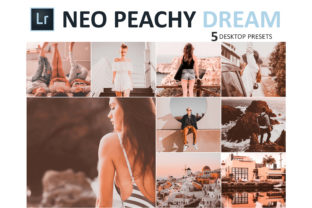 Download Neo Peachy Dream Desktop Lightroom Presets - Premium Resources